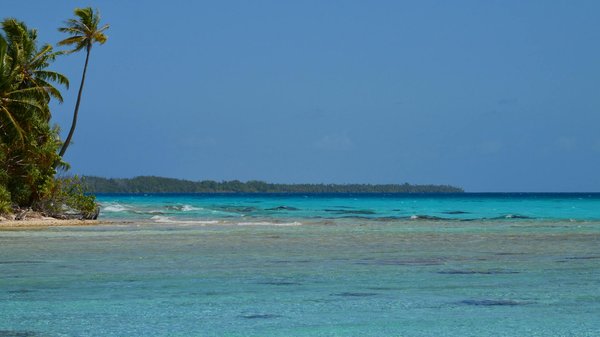 Découvrir le tourisme gastronomique : une nouvelle tendance à la mode